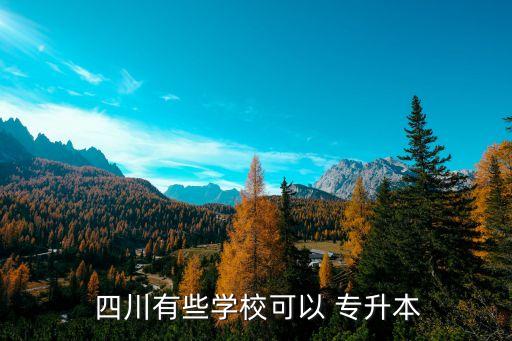  四川有些學(xué)?？梢?專升本