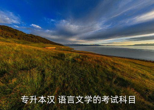 語言系專升本,中文語言文學專業(yè)介紹中文與文學相關(guān)知識