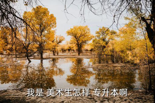 美術(shù)怎么專升本,?？剖敲佬g(shù)學(xué)歷可以升美院