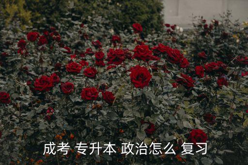  成考 專升本 政治怎么 復習