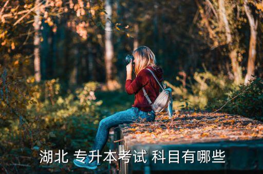 湖北專升本要考的科目,湖北自考護理學(xué)專升本考試科目有哪些?