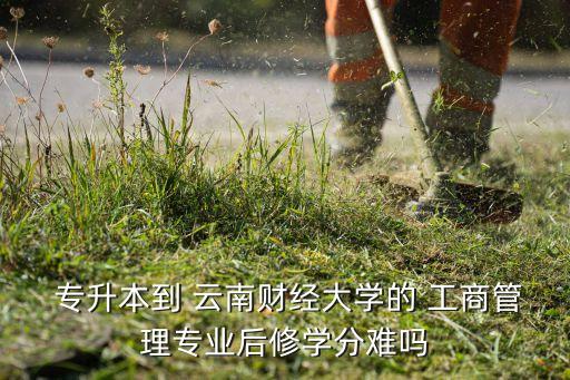 云南工商學(xué)院專升本,云南專升本招收計算機學(xué)生