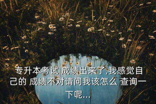  專升本考試 成績出來了,我感覺自己的 成績不對請問我該怎么 查詢一下呢...