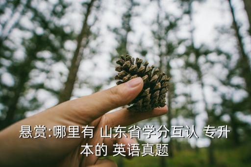 懸賞:哪里有 山東省學分互認 專升本的 英語真題