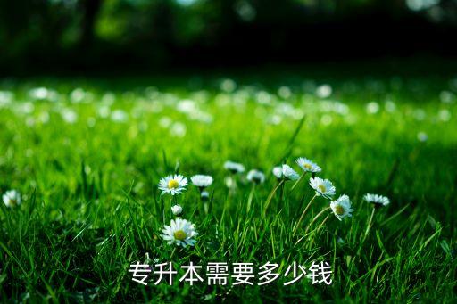 普通專(zhuān)升本培訓(xùn)費(fèi)用,國(guó)家開(kāi)發(fā)銀行專(zhuān)升本學(xué)費(fèi)1萬(wàn)元