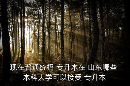山東專升本的本科學(xué)校,四所大學(xué)的本科?？粕M(jìn)入高等學(xué)府學(xué)習(xí)