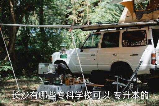長(zhǎng)沙專(zhuān)升本代理,長(zhǎng)沙財(cái)稅學(xué)院可以專(zhuān)升本考試嗎?