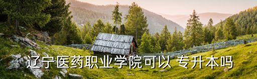  遼寧醫(yī)藥職業(yè)學院可以 專升本嗎