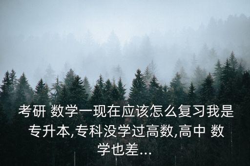  考研 數(shù)學(xué)一現(xiàn)在應(yīng)該怎么復(fù)習(xí)我是 專升本,?？茮]學(xué)過高數(shù),高中 數(shù)學(xué)也差...