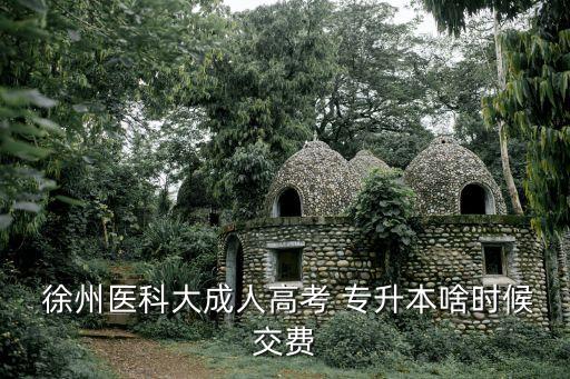  徐州醫(yī)科大成人高考 專升本啥時候交費