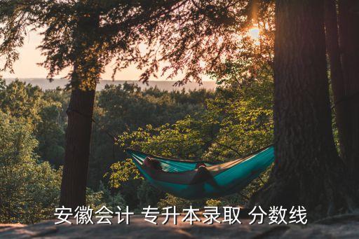  安徽會計(jì) 專升本錄取 分?jǐn)?shù)線