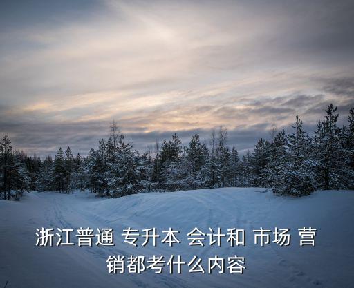 浙江普通 專升本 會計(jì)和 市場 營銷都考什么內(nèi)容