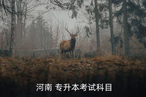 河南專(zhuān)升本數(shù)學(xué)試題,選擇自己擅長(zhǎng)的領(lǐng)域和專(zhuān)業(yè)方向