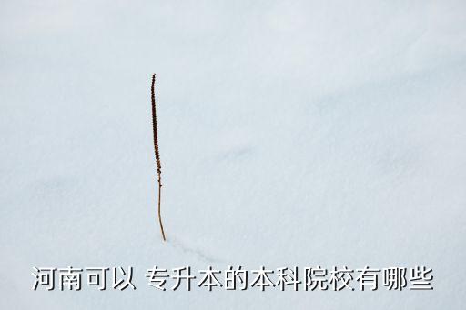 信陽農林專升本,新傳媒5頻道播出新傳播播種疫苗
