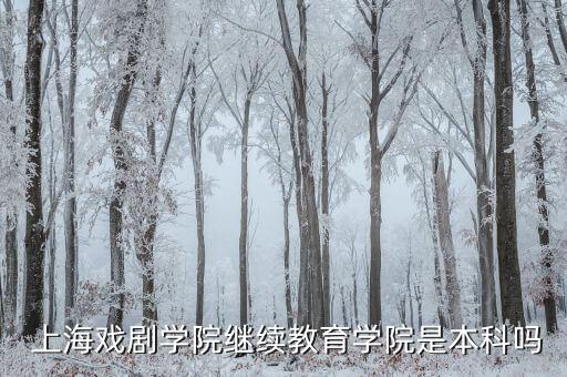 上海戲劇學院有專升本,上海可接受/11?？粕膶W校有哪些?