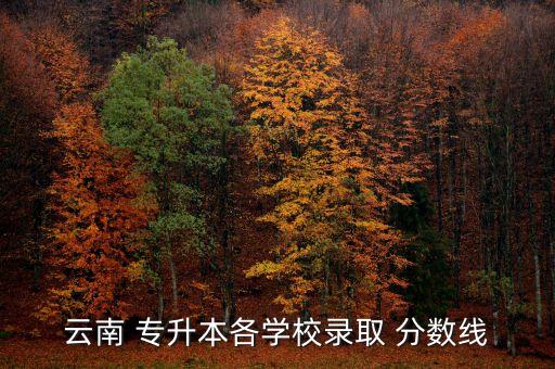 云南 專升本各學(xué)校錄取 分?jǐn)?shù)線