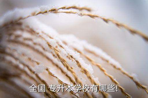 遼寧專升本的?？茖W(xué)校,遼寧計(jì)算機(jī)專升本可選大學(xué)和?？茖W(xué)院