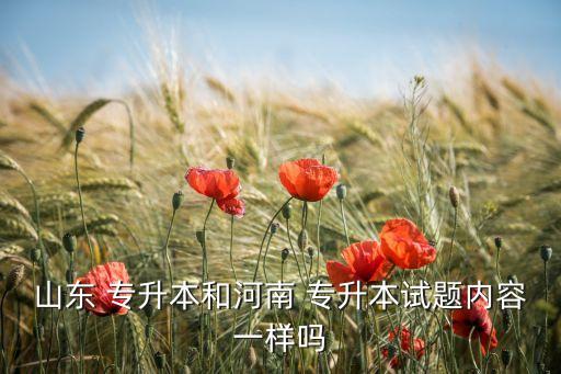 山東 專升本和河南 專升本試題內容一樣嗎