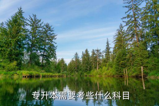 專(zhuān)升本知識(shí)產(chǎn)權(quán)考什么,專(zhuān)升本不同專(zhuān)業(yè)類(lèi)別考試科目如下