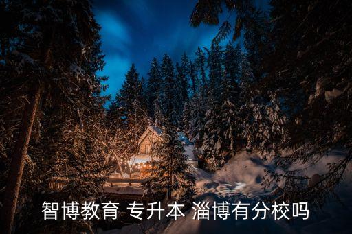 智博教育 專(zhuān)升本 淄博有分校嗎