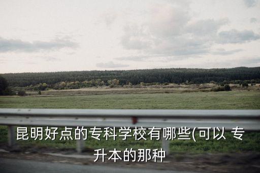 昆明好點的?？茖W校有哪些(可以 專升本的那種