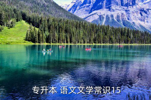 2014專升本語文復習資料,中國文學批評家包括詩人郭開真