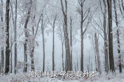 2017年專升本黃河科技學(xué)院,從零開始!專升本有哪些選擇?