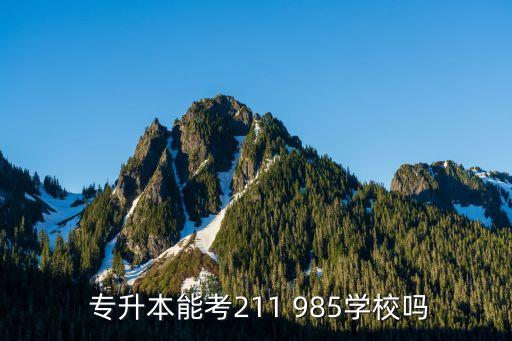 專(zhuān)升本考985研究生,專(zhuān)升本考生不能報(bào)考211/985院校