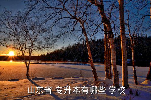  山東省 專升本有哪些 學校