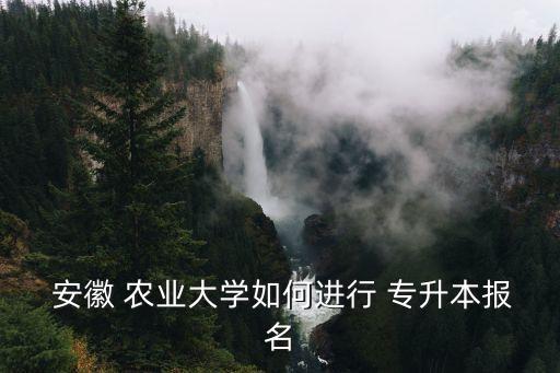  安徽 農(nóng)業(yè)大學(xué)如何進(jìn)行 專升本報名