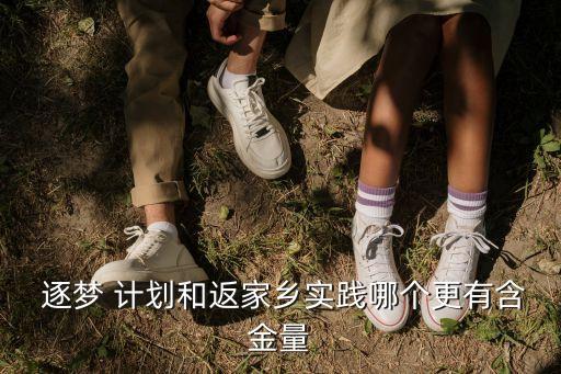  逐夢 計劃和返家鄉(xiāng)實踐哪個更有含金量
