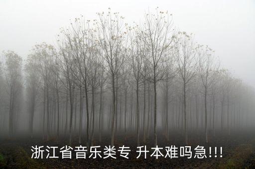 浙師大專升本容易嗎,浙江師范大學(xué)不好考，考完都難!