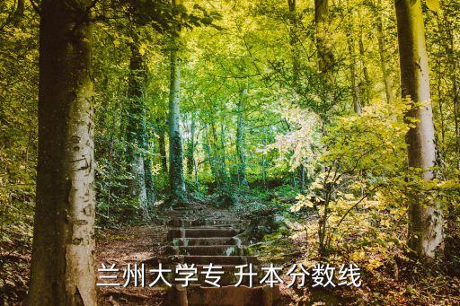 蘭州大學(xué)專 升本分數(shù)線
