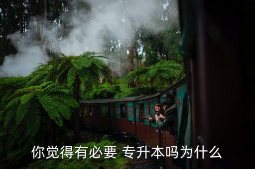 你為什么沒(méi)有專升本,選擇專升本的理由
