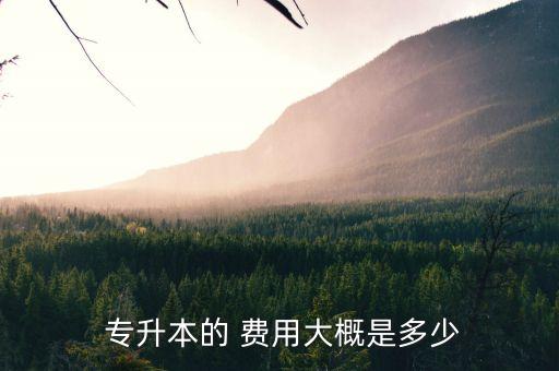 國開大學(xué)專升本費(fèi)用多少錢,國開學(xué)費(fèi)按學(xué)分收取