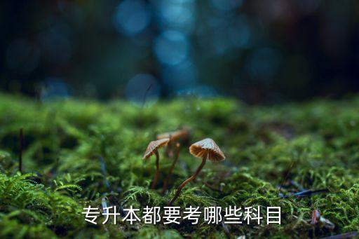 2017級專升本報考內(nèi)容,陜西專升本報名流程!