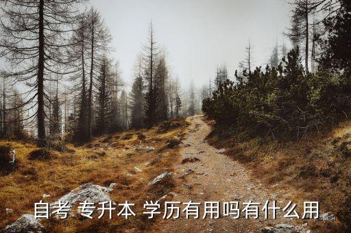 專升本?？茖W(xué)歷還有用嗎,專升學(xué)歷有用嗎?有四種方式可供選擇