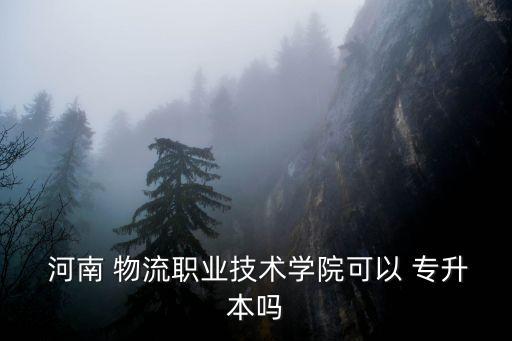  河南 物流職業(yè)技術學院可以 專升本嗎