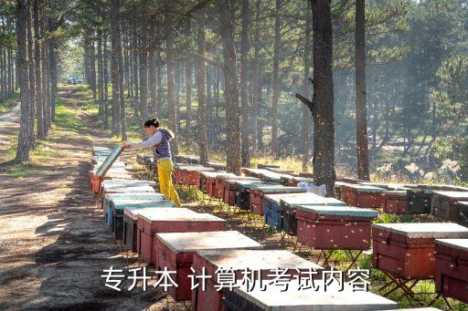 大專專升本計算機,廣東計算機專升本考試科目包括外語、數(shù)學