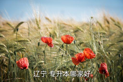 遼寧專(zhuān)升本咨詢(xún)機(jī)構(gòu),自考專(zhuān)升本(特別版）可從大一開(kāi)始報(bào)名