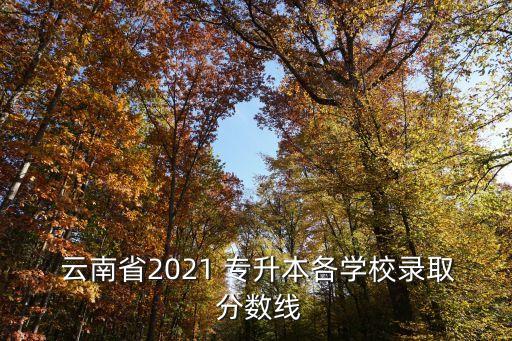 云南財經學院專升本分數(shù)線,云南省專升本網上報名截止