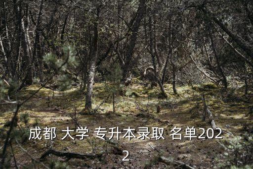 成都 大學(xué) 專升本錄取 名單2022