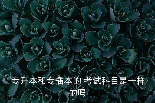  專(zhuān)升本和專(zhuān)插本的 考試科目是一樣的嗎
