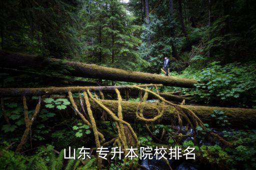 山東青年政治學(xué)院專升本過程性考核,山東本科升本院校名單出爐