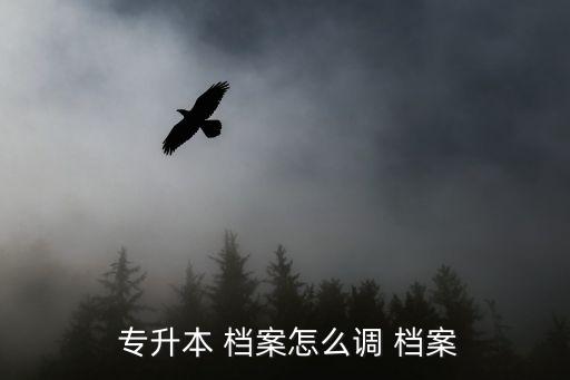  專升本 檔案怎么調 檔案
