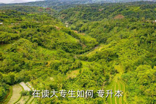 非全日制專升本費(fèi)用,專升本分兩種類型