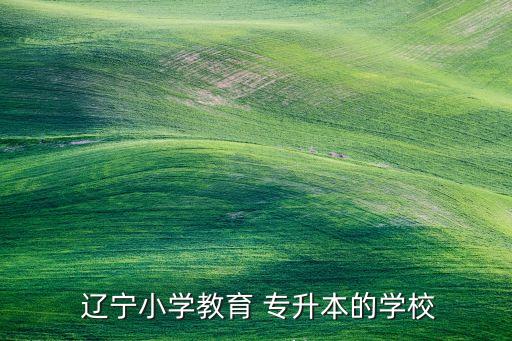 遼寧可以專升本的院校,遼寧省計(jì)算機(jī)專升本可選大學(xué)?？茖I(yè)