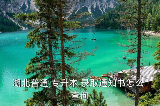 湖北普通 專(zhuān)升本 錄取通知書(shū)怎么 查詢
