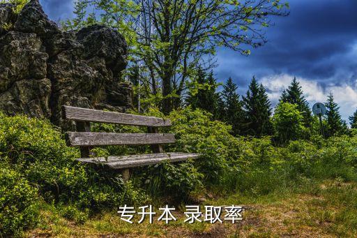  專升本 錄取率