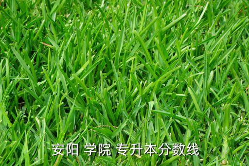  安陽 學(xué)院 專升本分?jǐn)?shù)線